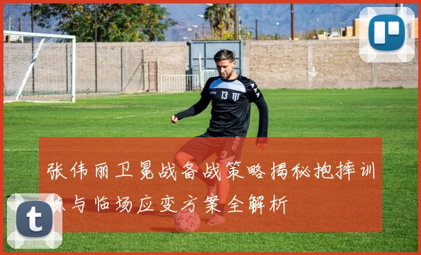 张伟丽卫冕战备战策略揭秘抱摔训练与临场应变方案全解析